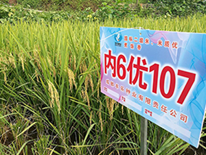 ��6��107-ˮ������-������ҵ