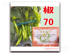 Ǭ�½�70-��������-Ǭ����ҵ