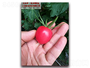 Ǭ��С�۷���-��������-Ǭ����ҵ
