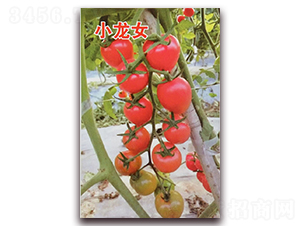 С��Ů-�۹�С��������-Ǭ����ҵ