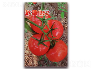 Ǭ��L57-��췬������-Ǭ����ҵ