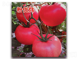Ǭ�·����-��������-Ǭ����ҵ