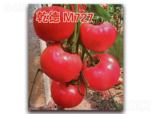 Ǭ��M727-��������-Ǭ����ҵ