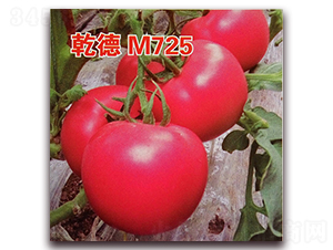 Ǭ��M725-��������-Ǭ����ҵ