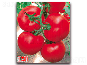 ��̫��-��췬������-Ǭ����ҵ