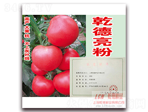 Ǭ������-�۹���������-Ǭ����ҵ