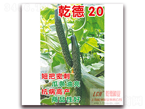 Ǭ�µ�ʥ-�ƹ�����-Ǭ����ҵ