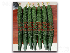 Ǭ��777-�ƹ�����-Ǭ����ҵ