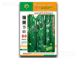 ǿ���ڽ�80-�ƹ�����-������ҵ