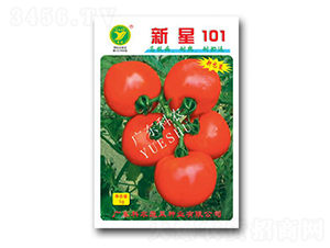 ����101-��������-��ũ