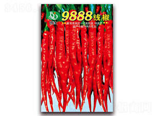 9888�߽�-��������-�β���