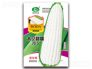̫����Ŵ70-5-��Ŵ��������-�β���