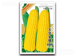 ̫�ս�Ŵ2000-��Ŵ��������-�β���
