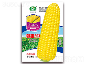 ����603-��Ŵ��������-�β���