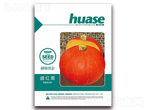 ʢ����ʢ-�Ϲ�����-�β���