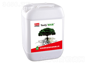 Tooly������-ͬ������