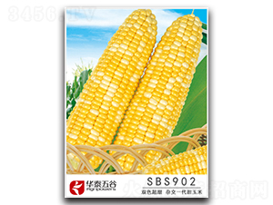 SBS902-����������-��̩���