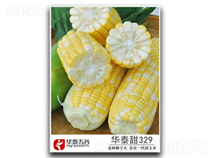 ��̩��329-����������-��̩���