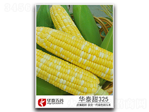 ��̩��325-����������-��̩���