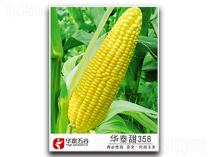 ��̩��358-����������-��̩���