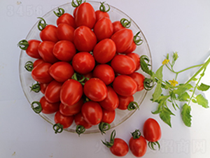 ����44��-ӣ�ҷ�������-����