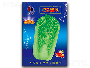 CR����-�ײ�����-Ǭ����ҵ