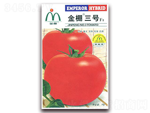 ��������-��췬������-����