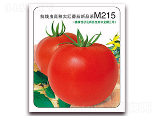 ����M215-��췬������-����