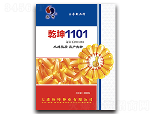 Ǭ��1101-��������-Ǭ����ҵ