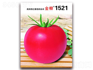 ����1521-�ۺ췬������-����