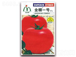 ����һ��-�ۺ췬������-����