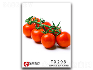 TM298-��������-��̩���