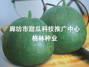 ����ʮһ-�������-������ҵ