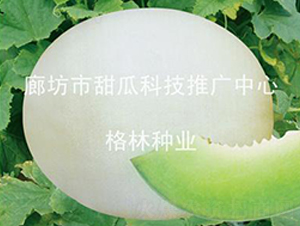 ��Z-�������-������ҵ