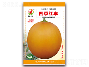 �ļ����-�������-������ҵ