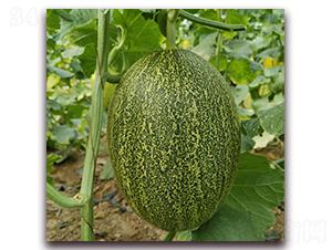 �Z��-�������-������ҵ