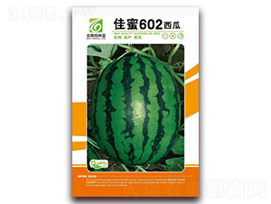 ����602-��������-��˹��