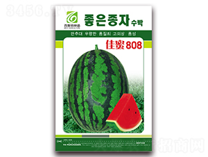 ����808-��������-��˹��