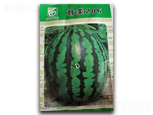 ����206-��������-��˹��