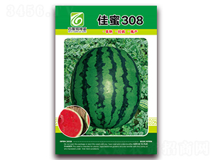 ����308-��������-��˹��