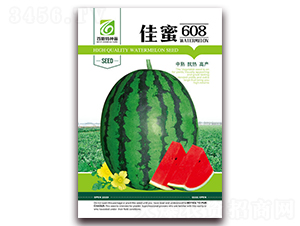����608-��������-��˹��