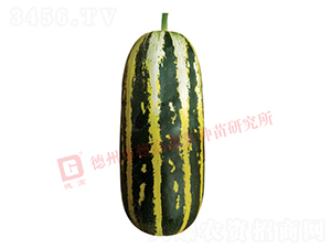 �¸�S120-�������-�¸�