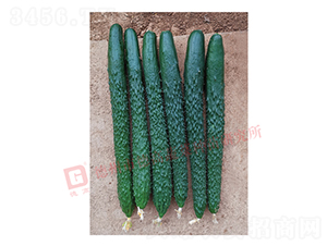 �¸�C28-�ƹ�����-�¸�