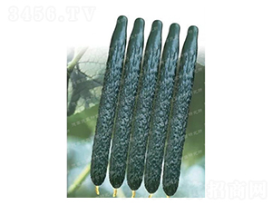 �¸�C57-�ƹ�����-�¸�