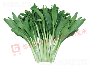 �¸�2027-��޷����-�¸�