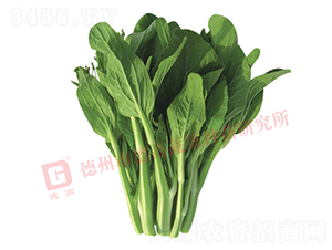 �¸�2099-��޷����-�¸�