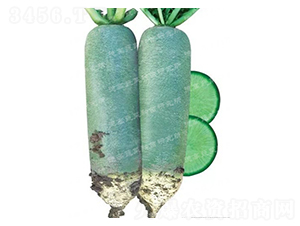 ����-ˮ���ܲ�����-�¸�