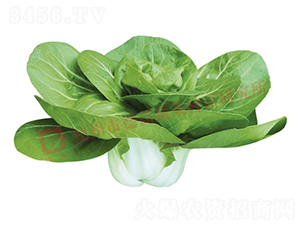 ����1508-�׹�������-�¸�