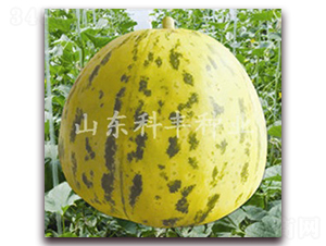 ��Ǯ��-�������-�Ʒ���ҵ