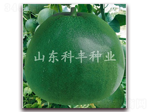 ����䱦-�������-�Ʒ���ҵ